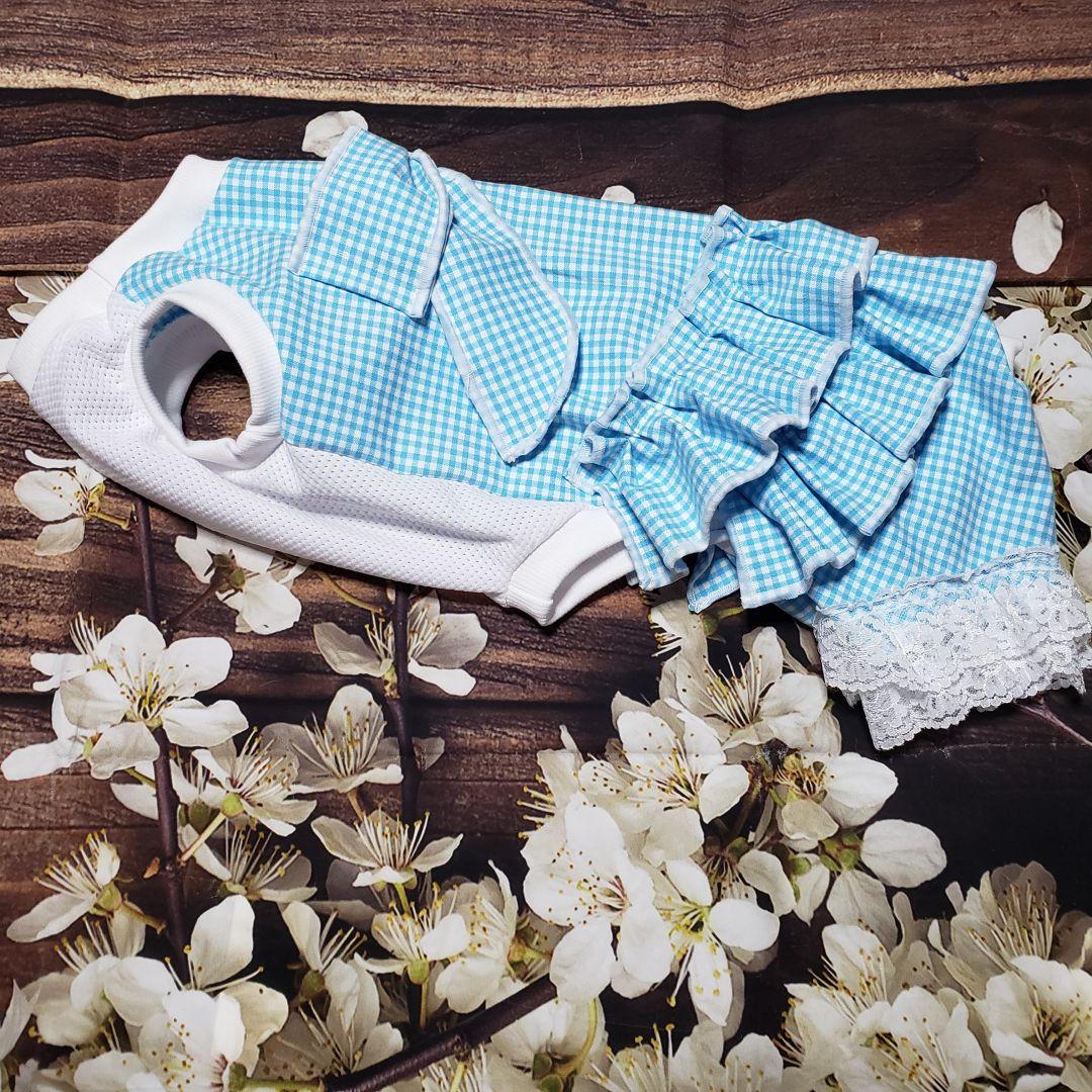 犬服　tomo　ご確認