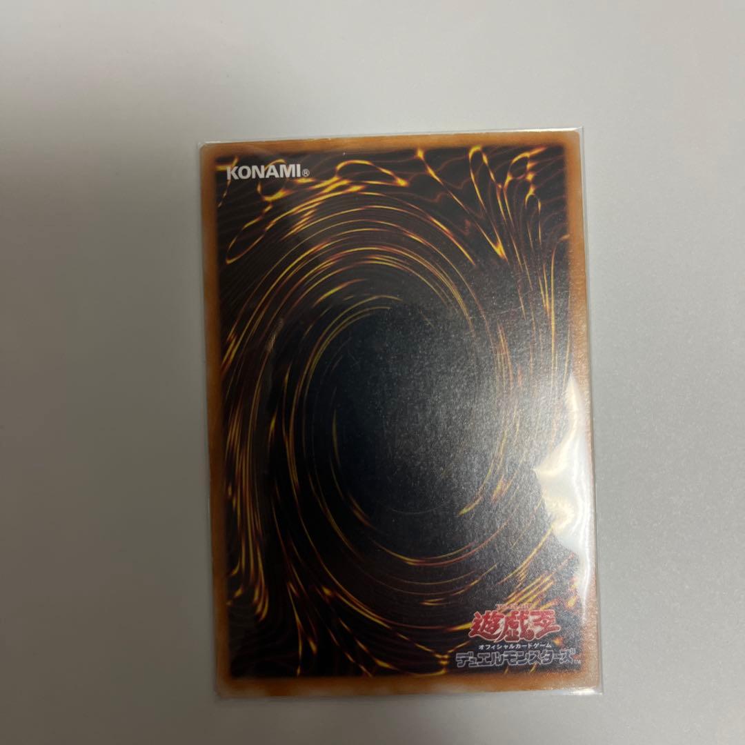 遊戯王　ダークネクロフィア　レリーフ