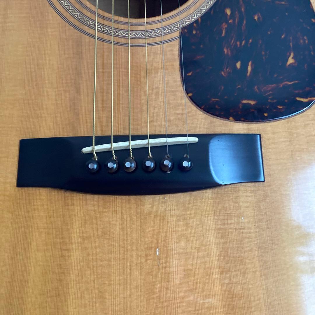 ジャガード＜JD-80M＞メイプル仕様・寺田楽器・日本製・希少