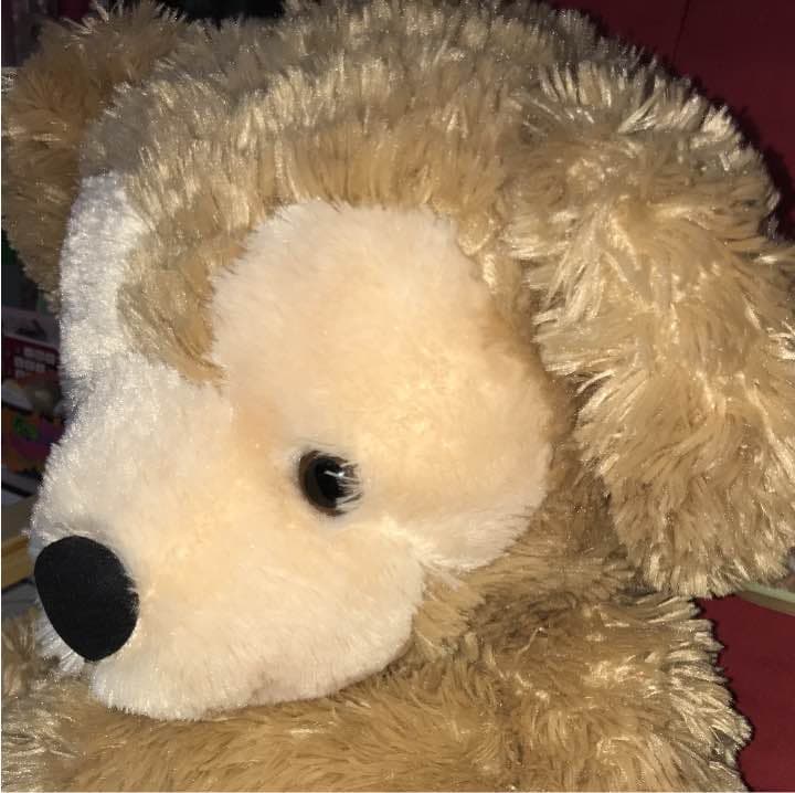 ④ ダッフィー毛長旧M