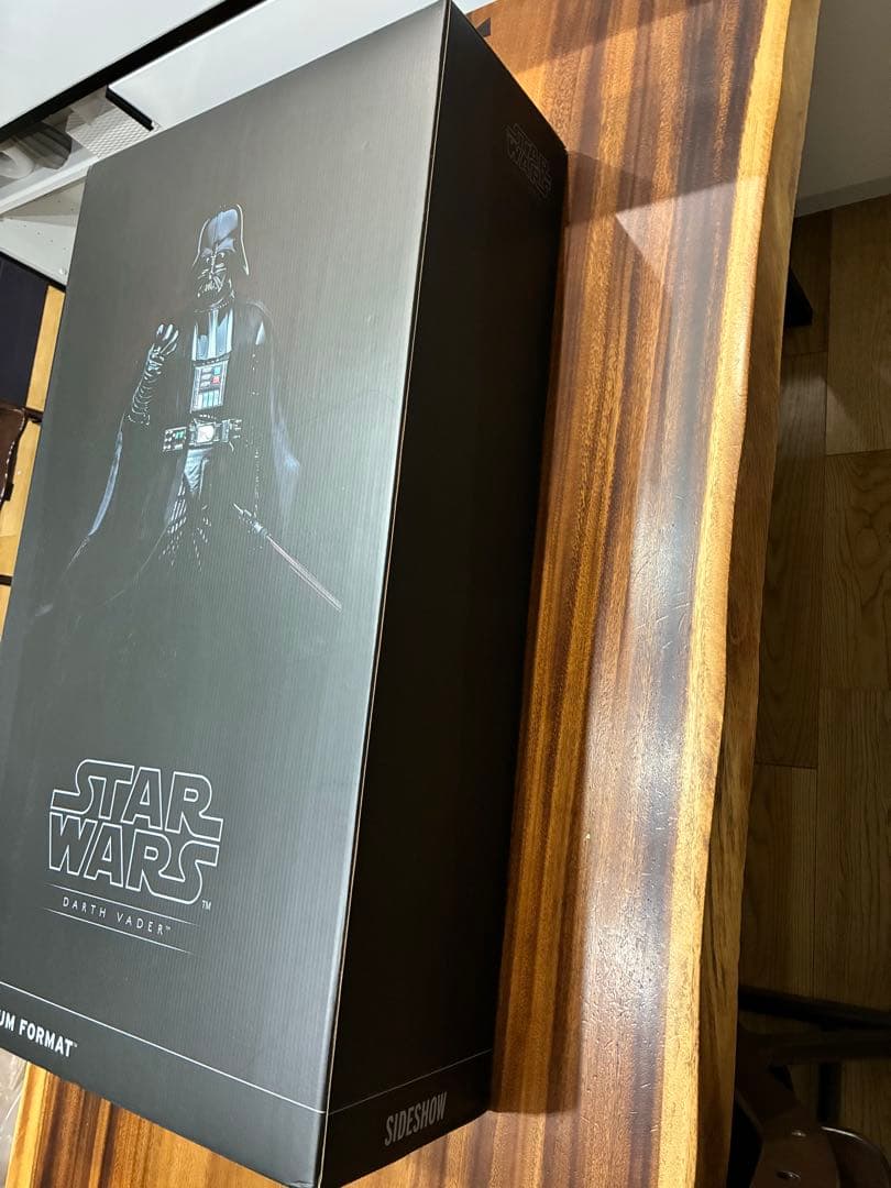 『スター・ウォーズ』 ダース・ベイダー（ムスタファー城）