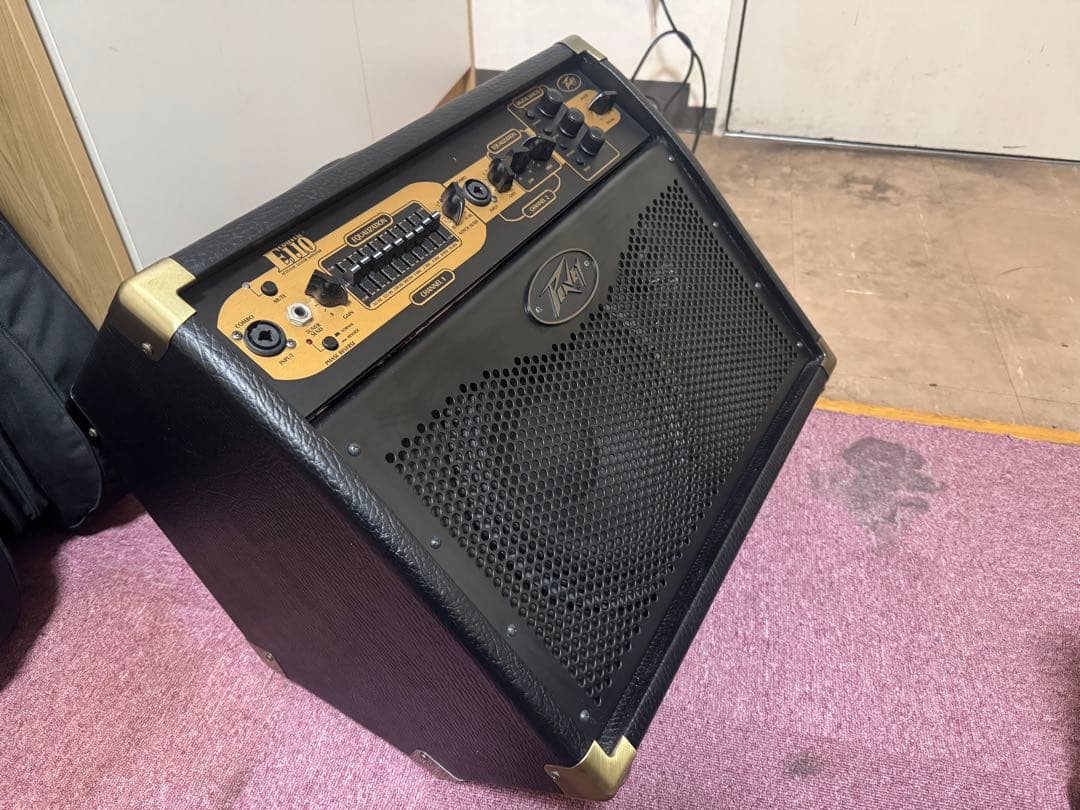 Peavey E110 アコースティックギターアンプ