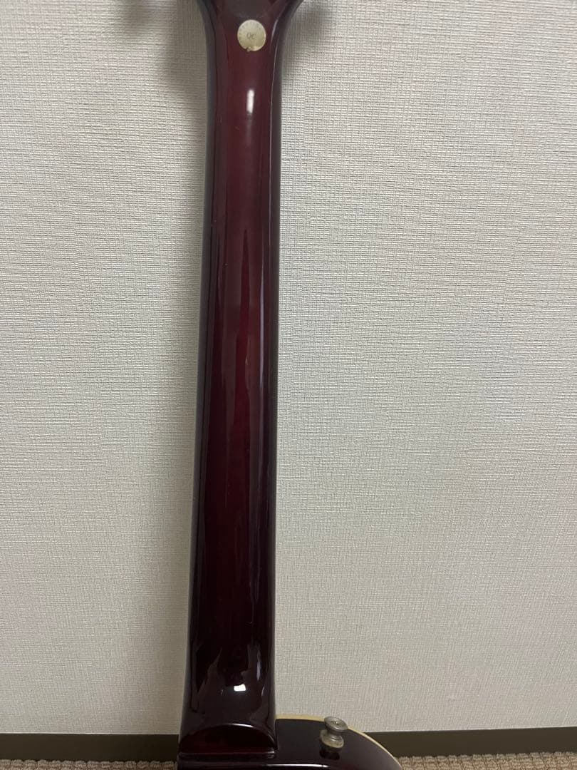 Rockが主食　Epiphone Les Paul 1956