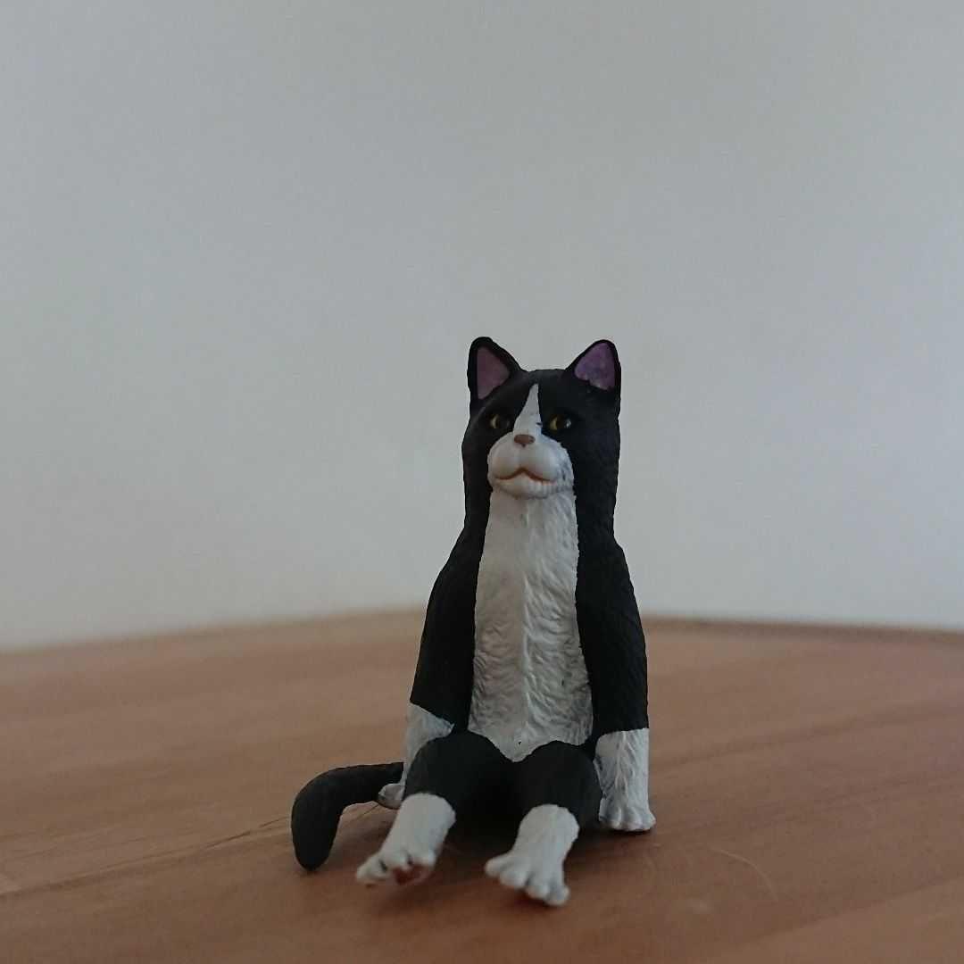 贅沢ぽんちゅーる