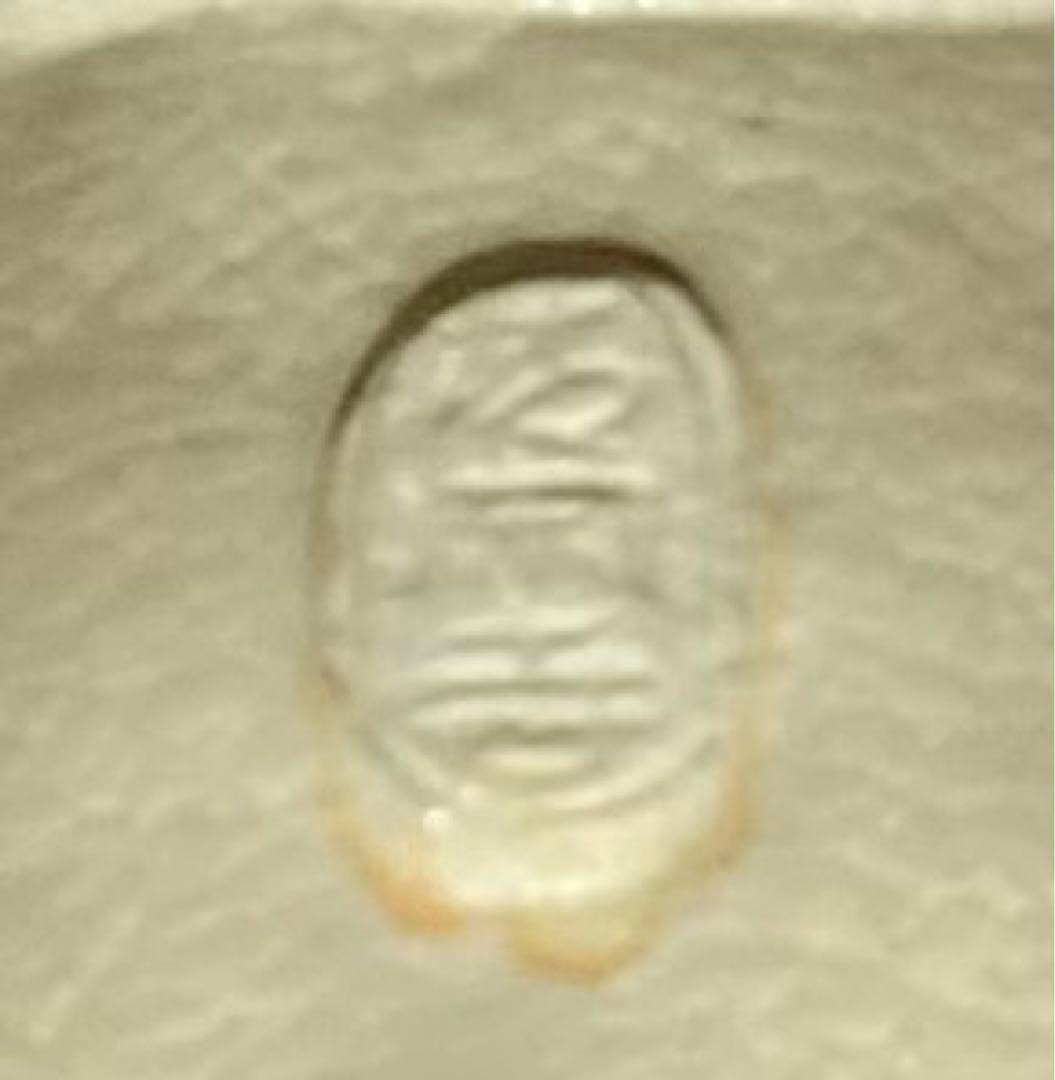 B228s   杉田祥平造「色絵七宝草花 蓋置」共箱　清閑寺窯　京焼　茶道具