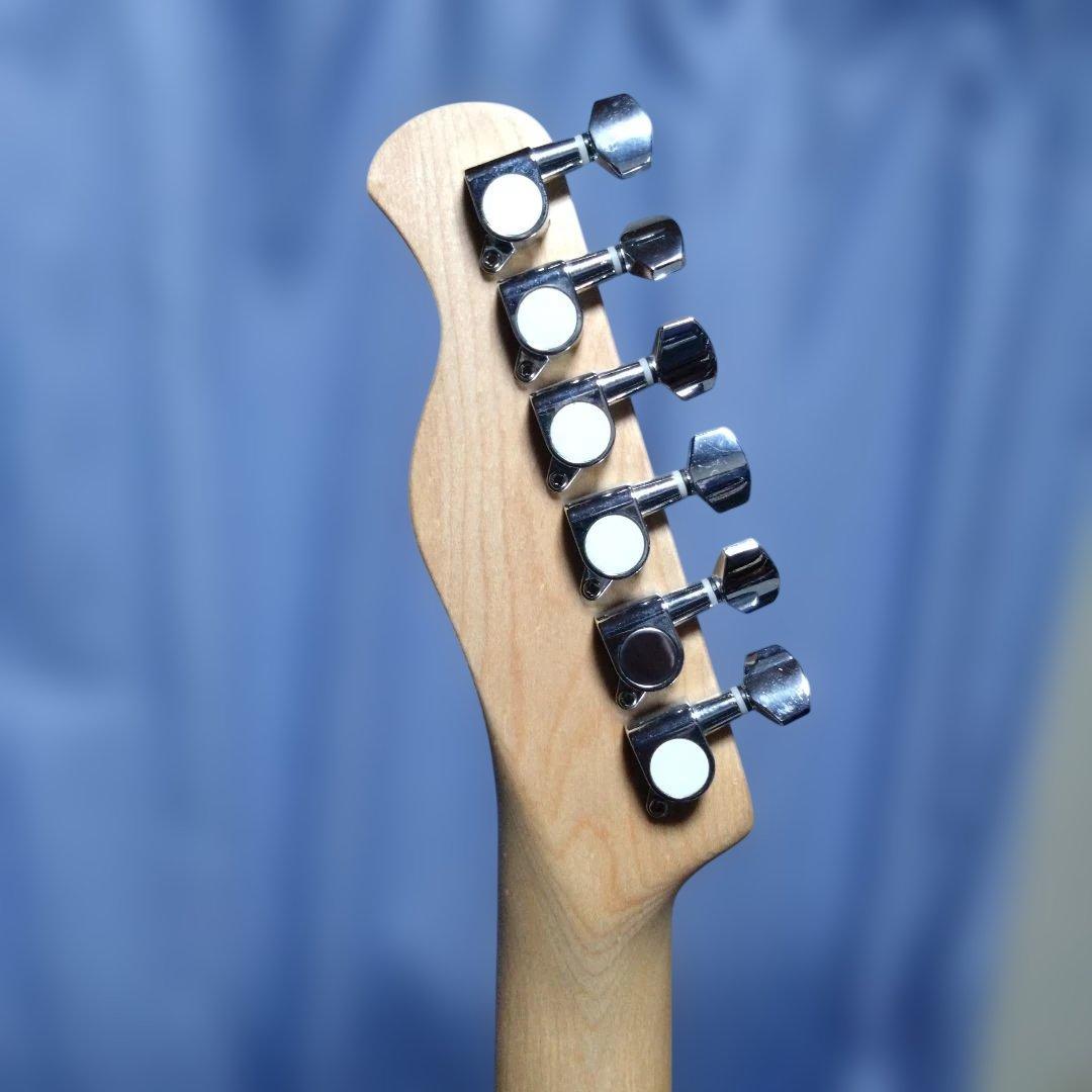 S*S様 Bacchus テレキャスター UNIVERSE SERIES