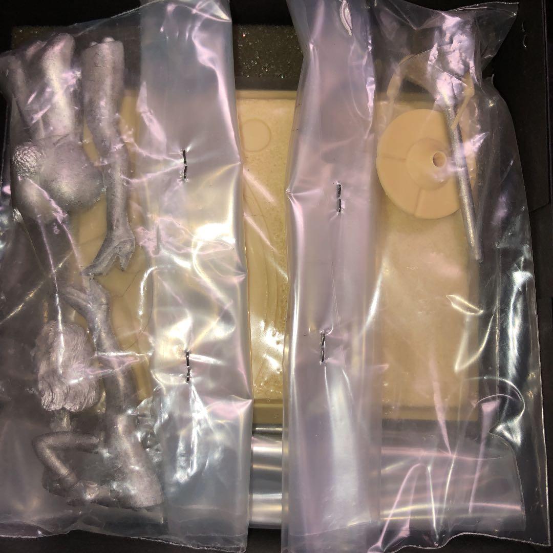 イタリアJJMODELSセクシードリームシリーズ　バニーガール　Luna