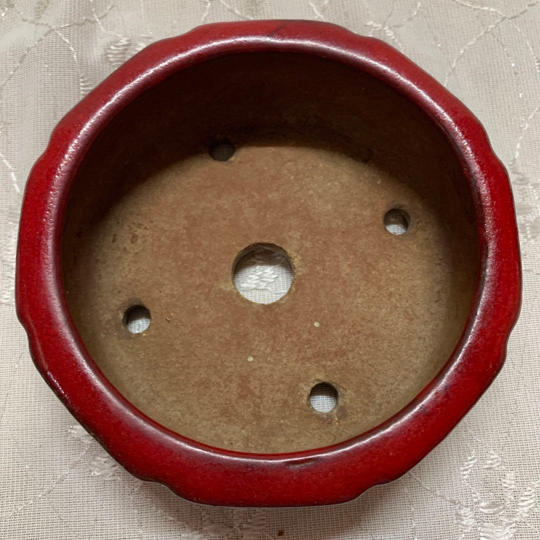 燿山　赤　丸　盆栽鉢