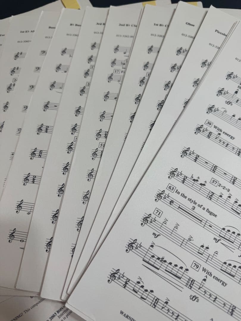 勇敢な飛行ジェイムズ・スウェアリンジェン　Flight of Valor 吹奏楽