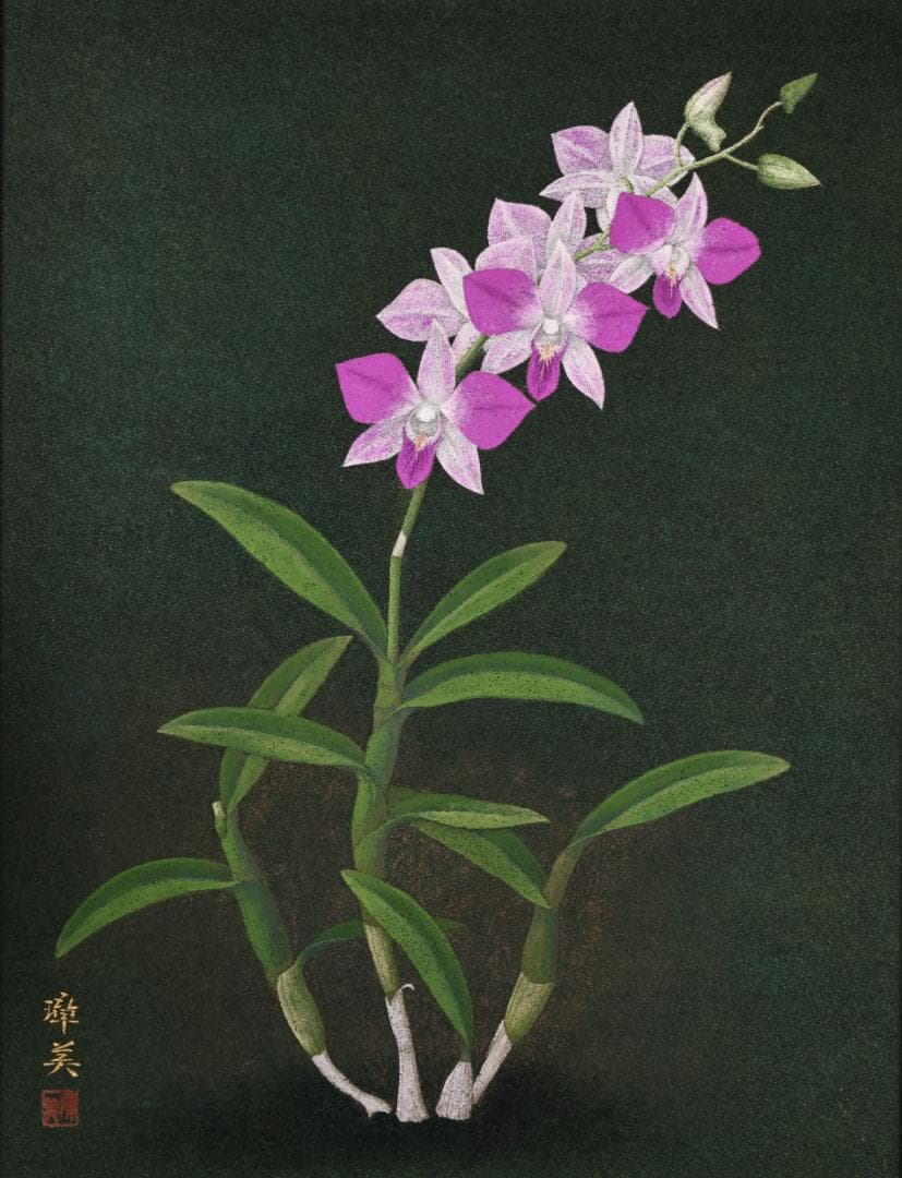 池内璋美 「 蘭花 」　10号　岩彩画　共シール　タトウ　黄袋　BK60