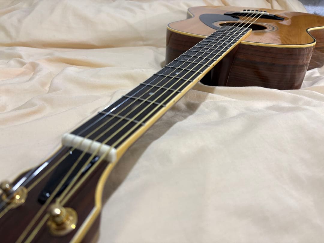 YAMAHA ヤマハ LL-6J ハードケース付属