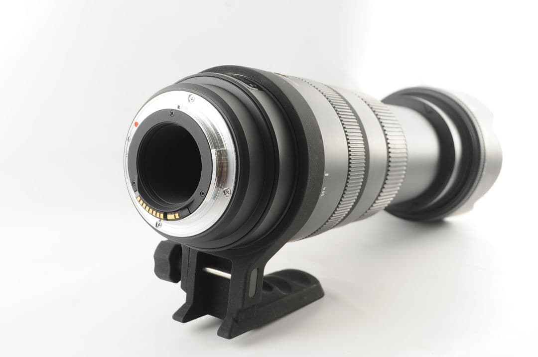 にゃんこじ SIGMA 50-500mm DG OS HSM キヤノン用