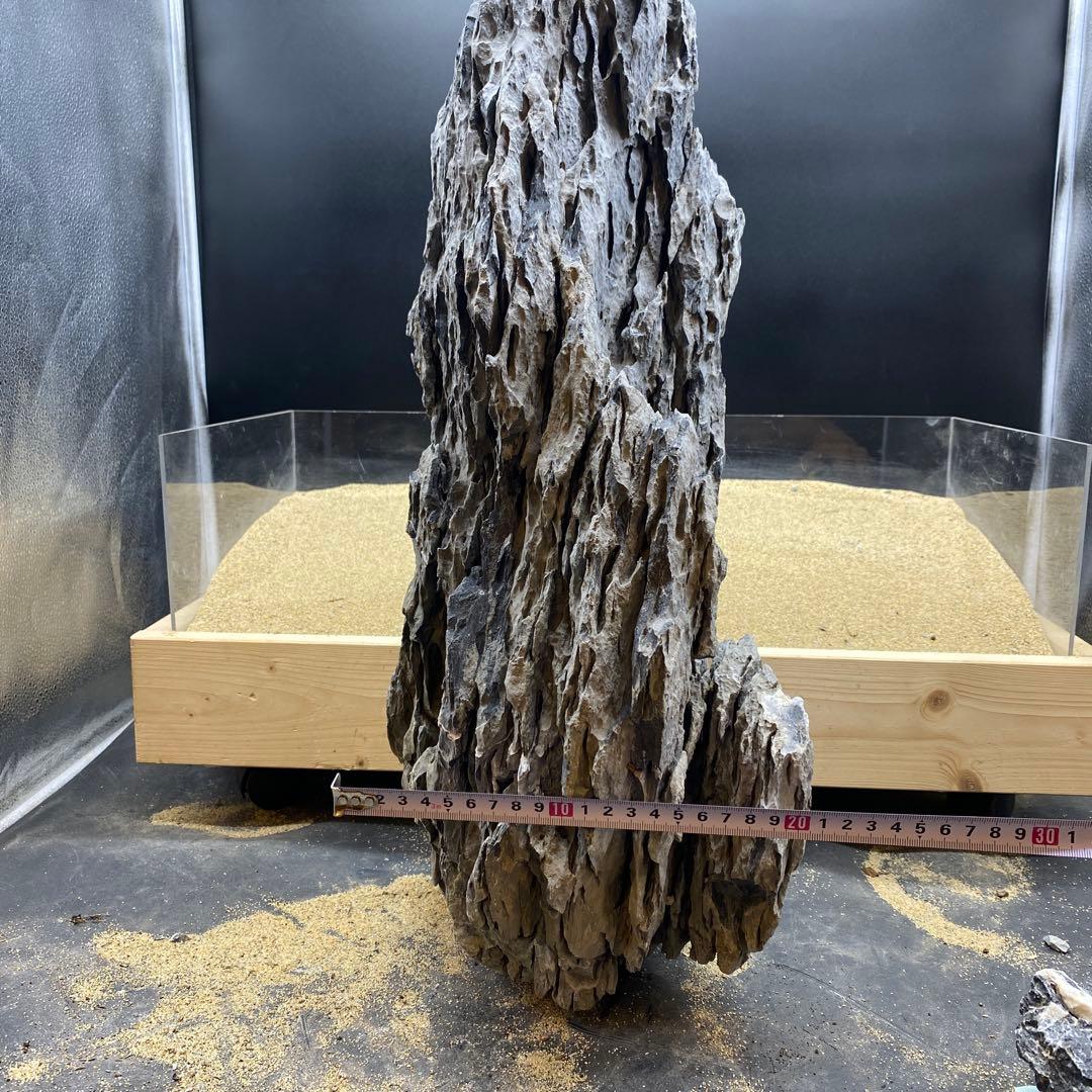 MSS-6642 特大セレクト品青龍石57cm親石　龍王石　竜王石