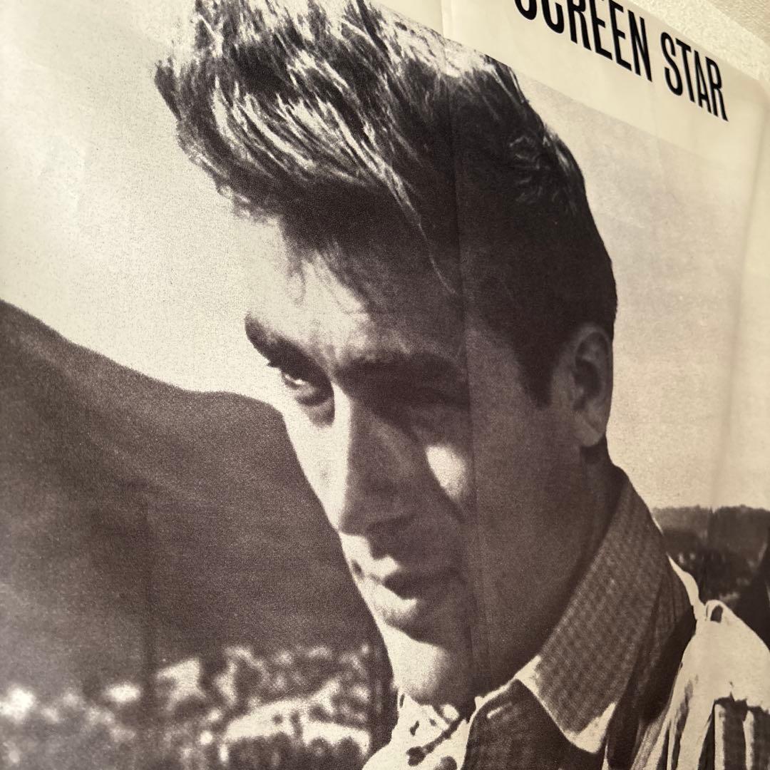 ジェームズ・ディーン　タペストリー