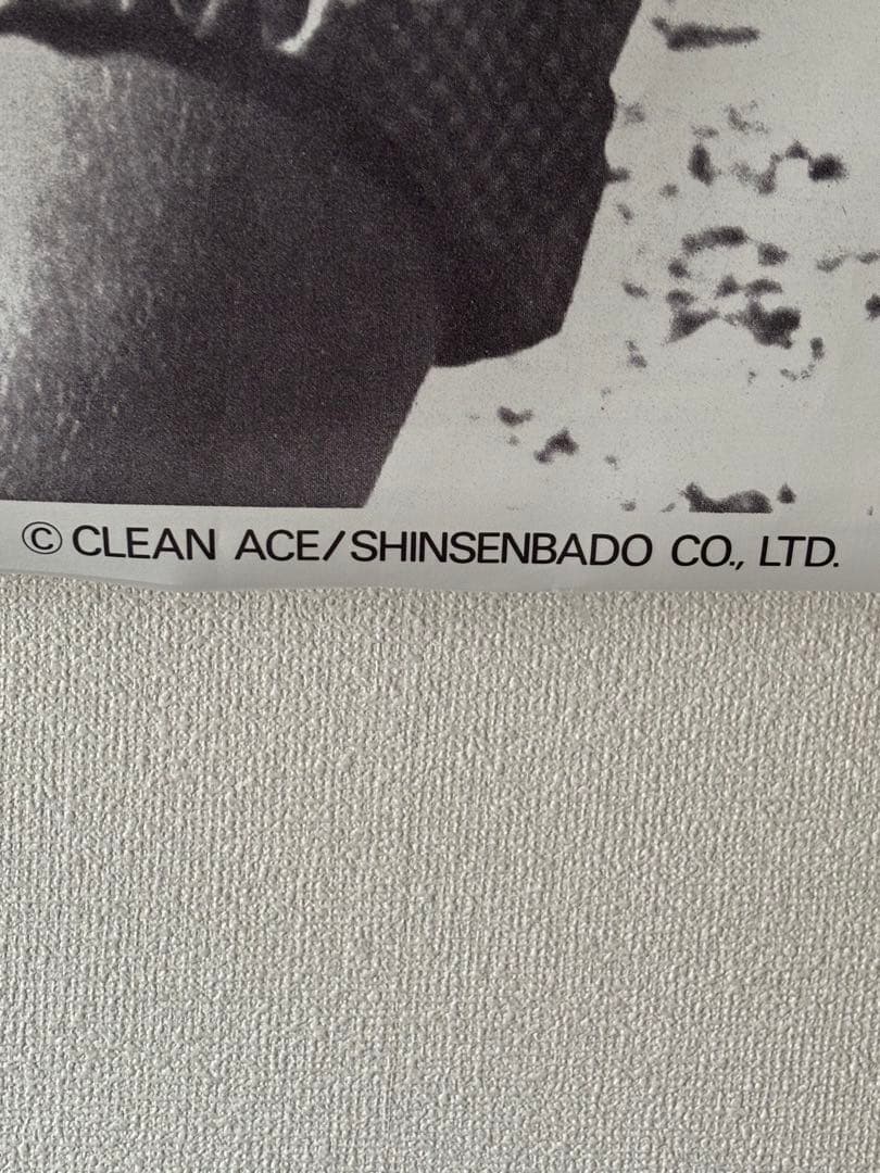 ジェームズ・ディーン　タペストリー