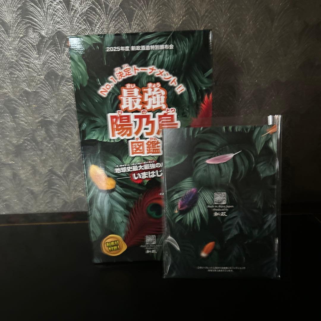 新政頒布会　2025 陽乃鳥　2回戦　希少