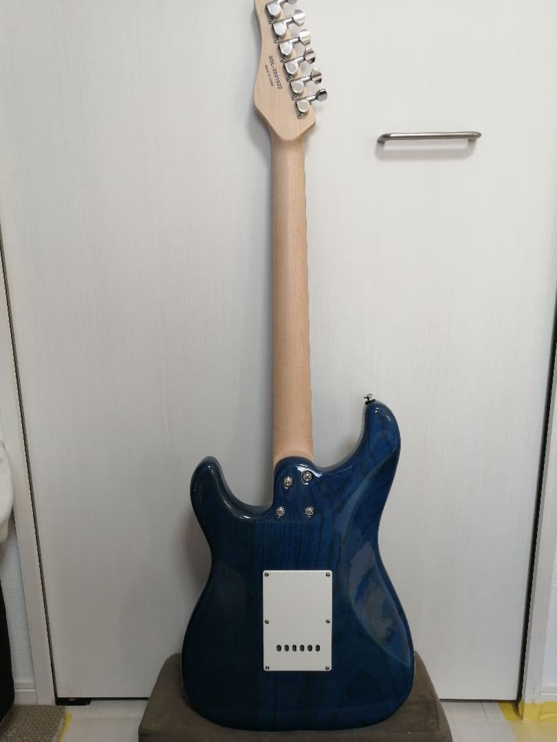 SCHECTER ORIENTAL LINE OL-ST（DBL）