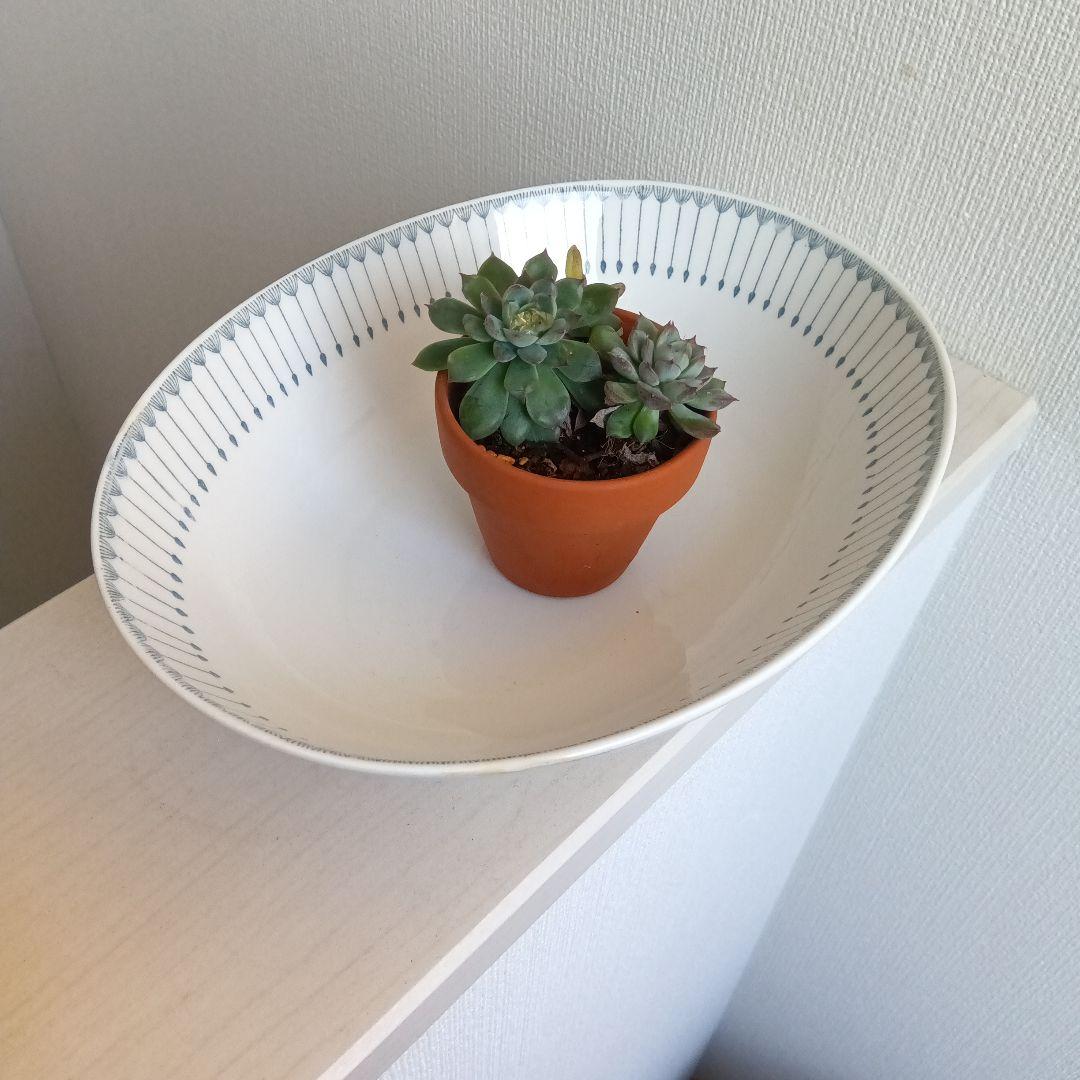 ARABIA　Heini 　ヘイニ　オーバルボウル　（М）