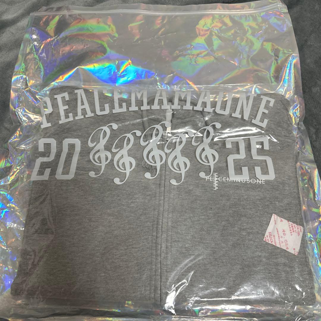 G-DRAGON MAMA2025 ZIP-UP グレーM