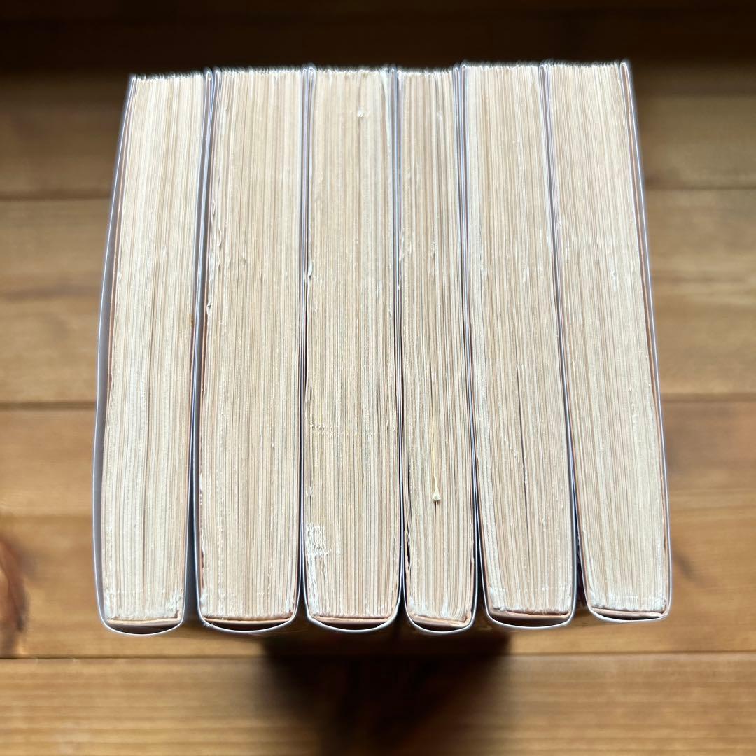 作家の日記 ドストエフスキー　全六冊セット