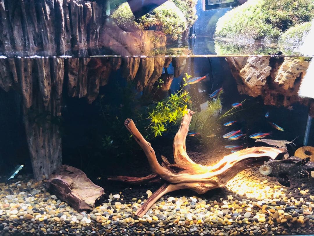 水槽 オーダー品