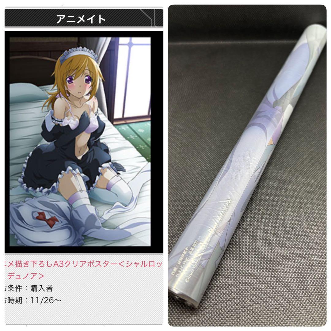 シャルロット・デュノア　A3クリアポスター　インフィニット・ストラトス