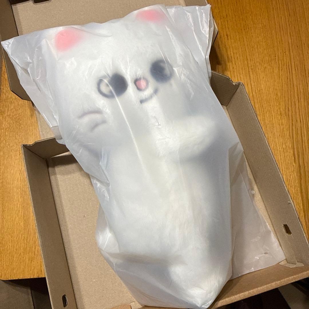 straykids celebrATE プラッシュバッグ ヒョンジン