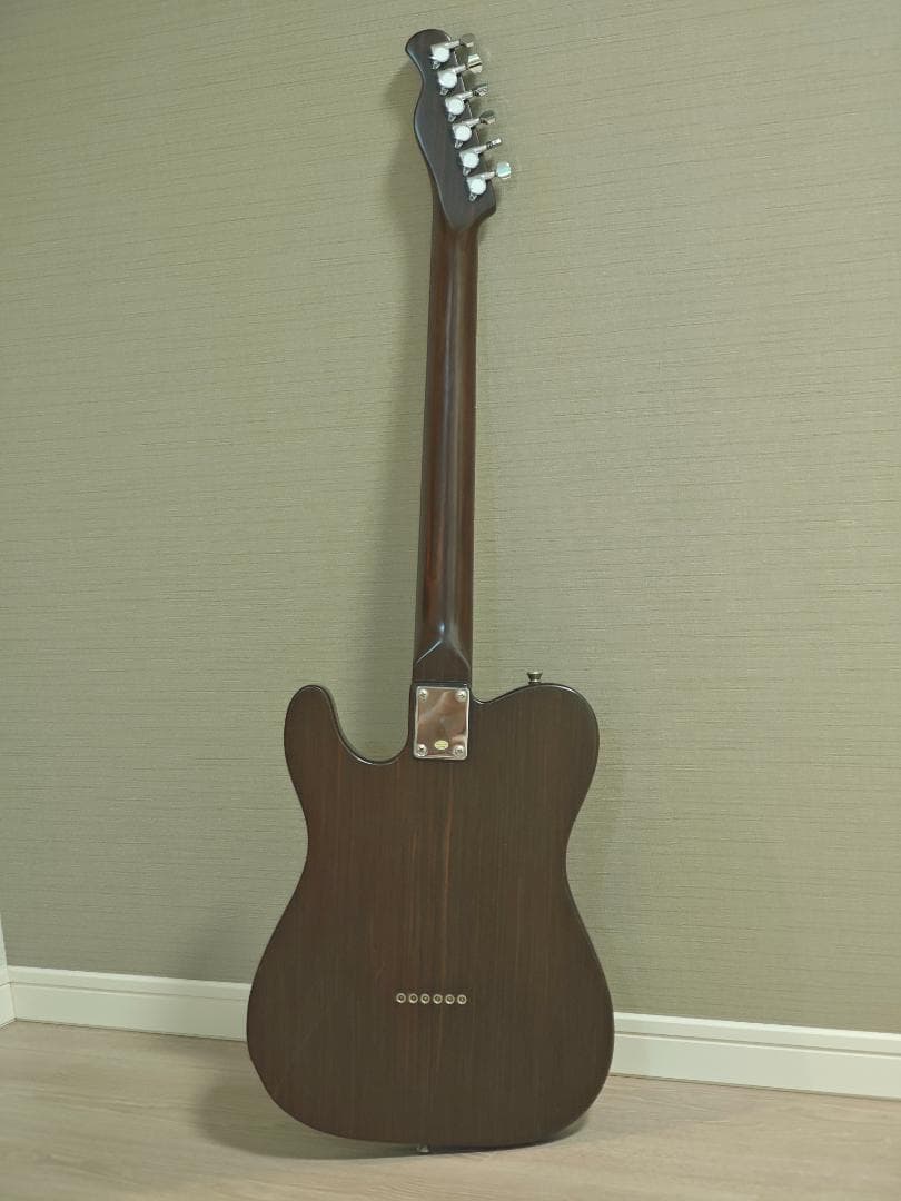Bacchus Universe BTE-TW Tele 中古 ケース付き