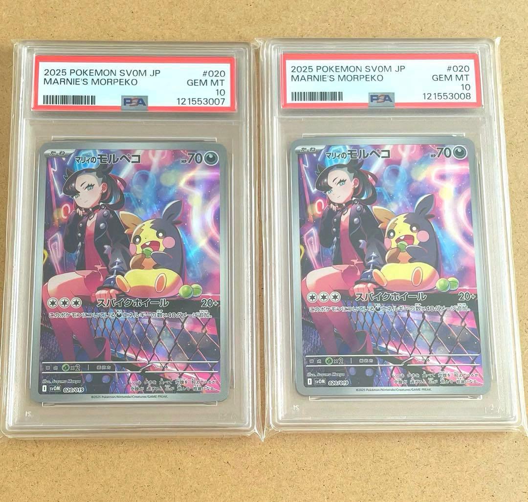 マリィのモルペコ スターターセット AR PSA10 ポケモンカード 鑑定品