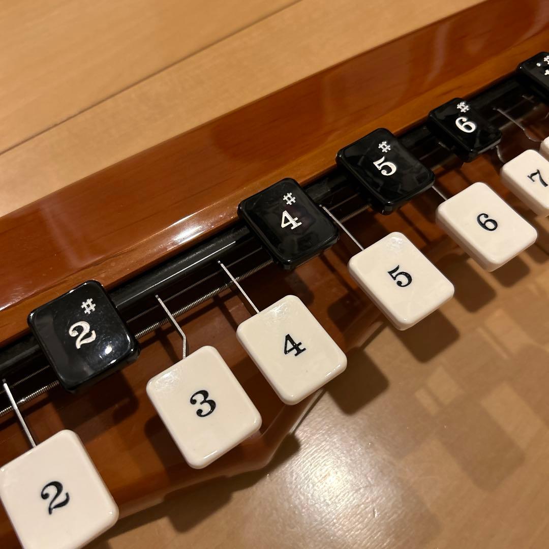 どばーん　美品　Suzuki こはくバス ケース付き