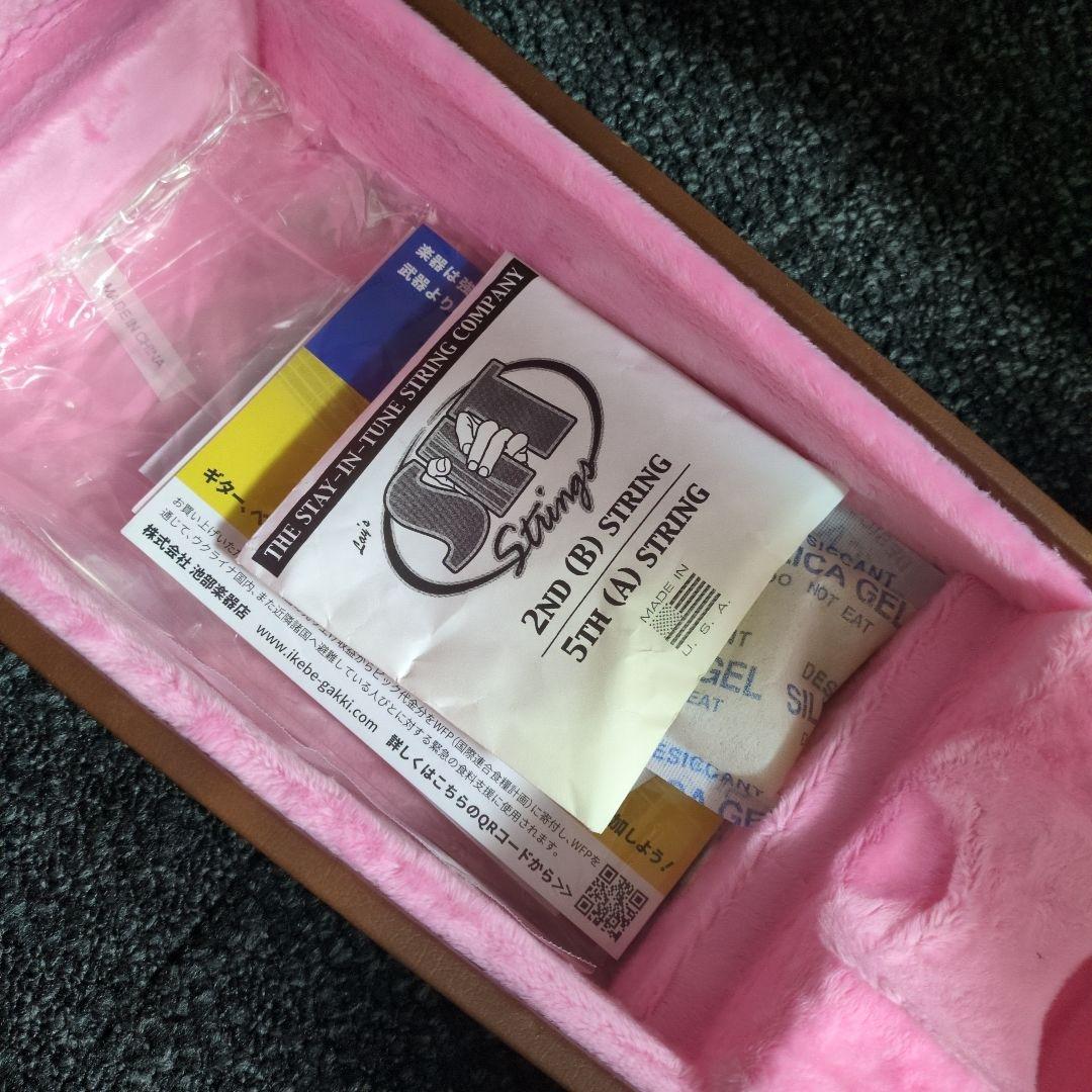 ギター Epiphone 1961 Les Paul SG Standard