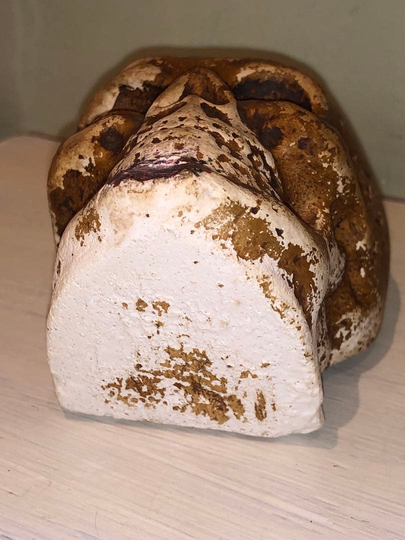 ビンテージ　スカル　髑髏　骸骨　ハロウィン　ミッドセンチュリー レトロ　ホラー