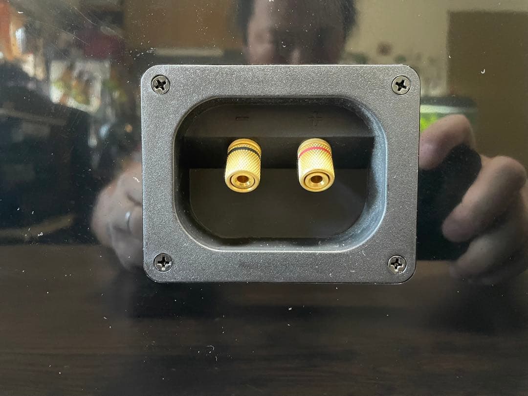 センタースピーカー audio pro black vector