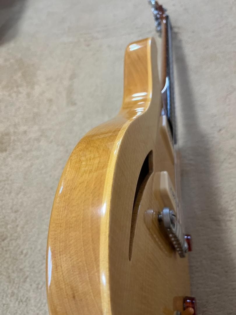 【希少】PRS SE Cnstom 22 セミホロウ　P-90タイプ