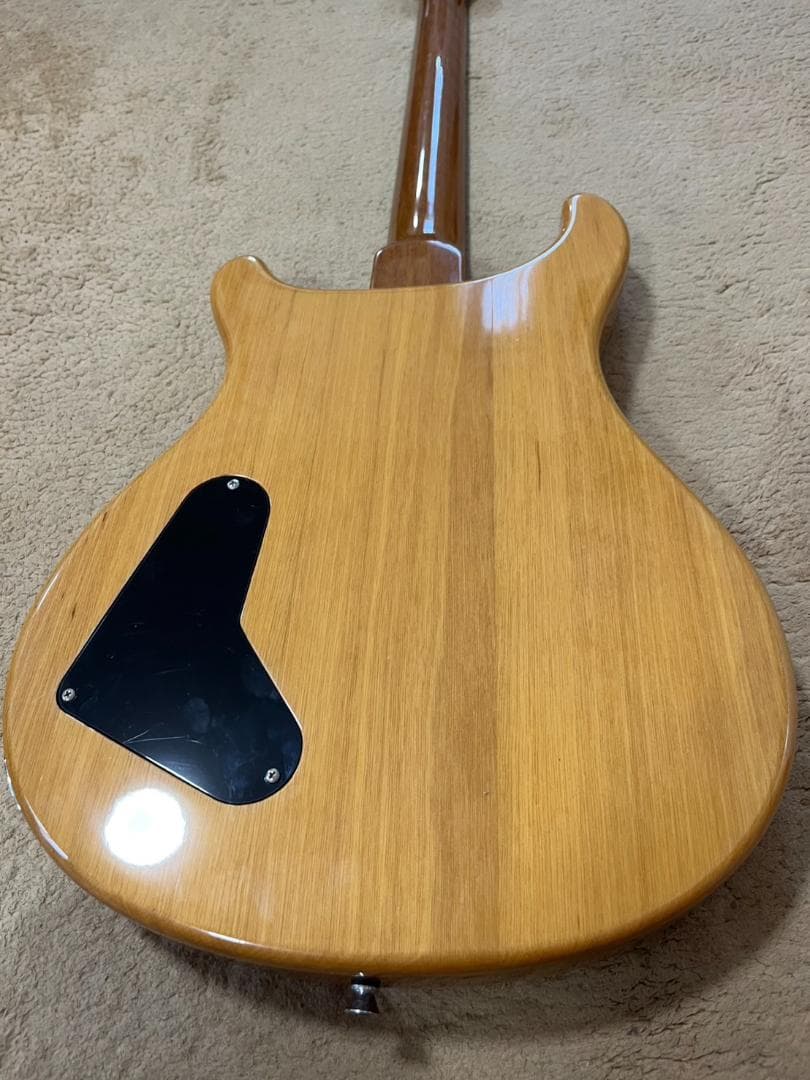 【希少】PRS SE Cnstom 22 セミホロウ　P-90タイプ