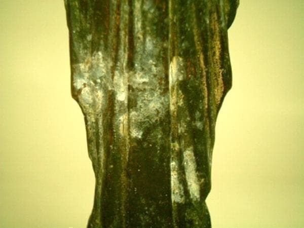 【1800年代】《cl152》フランス アンティーク 聖マリア 自立像