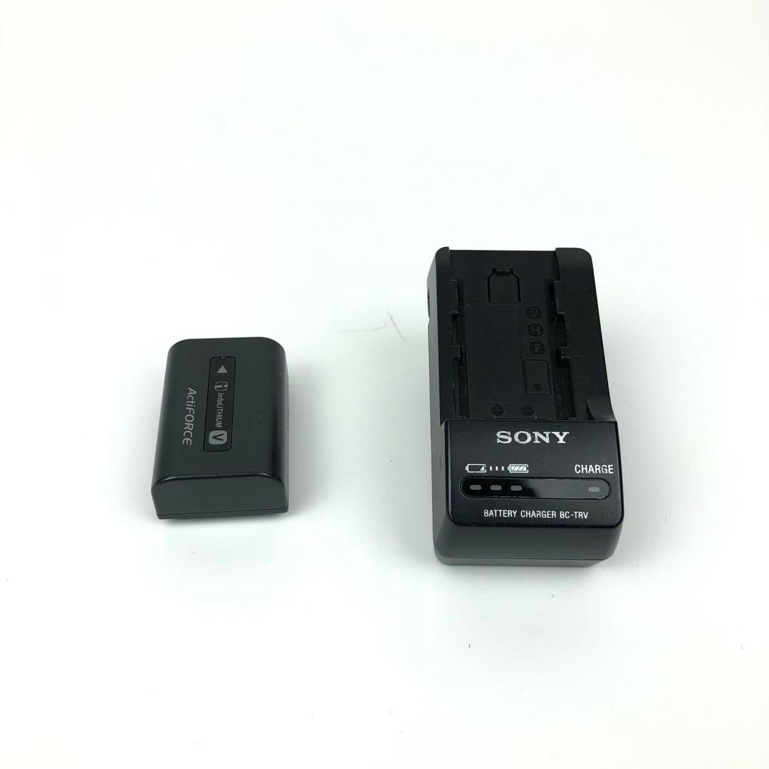 【極美品】SONY HDR-PJ590V ハンディカム 内蔵メモリ64GB