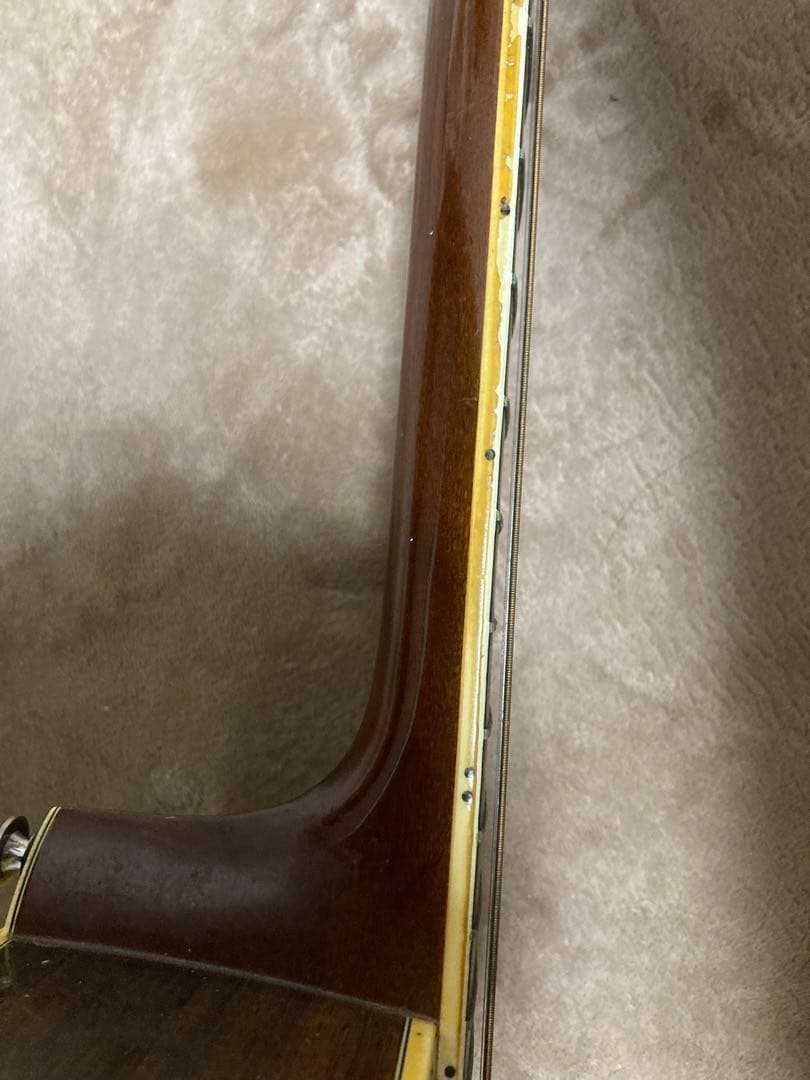 L.R Baggs Anthem SL？搭載!　Morris W-28