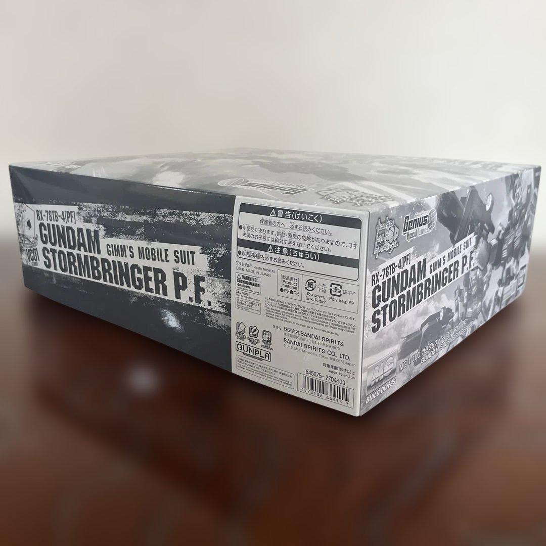MG 1/100 ガンダムストームブリンガー P.F.