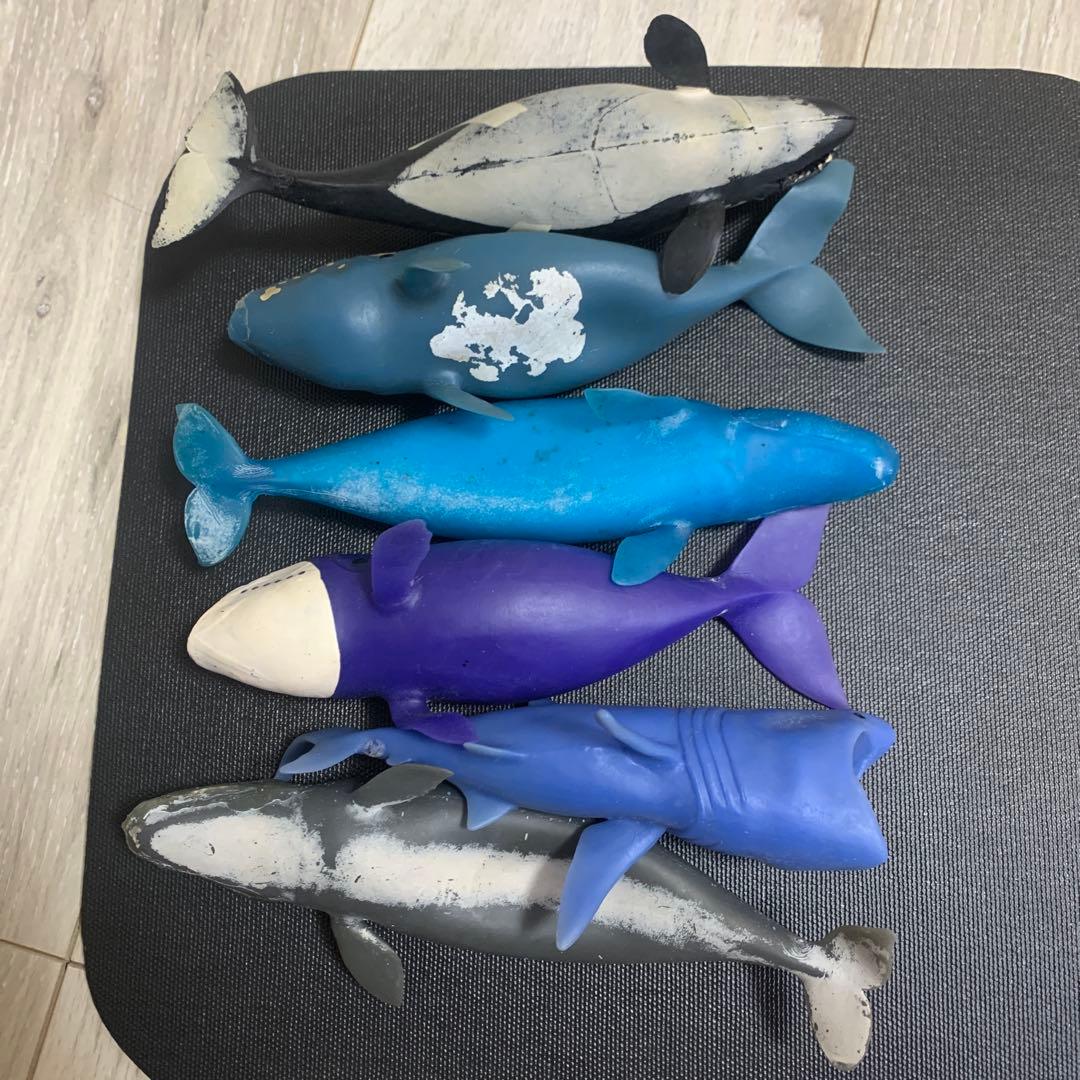 くじら　&co 16点　ブックレット デアゴスティーニ　アンドコ　コンプリート