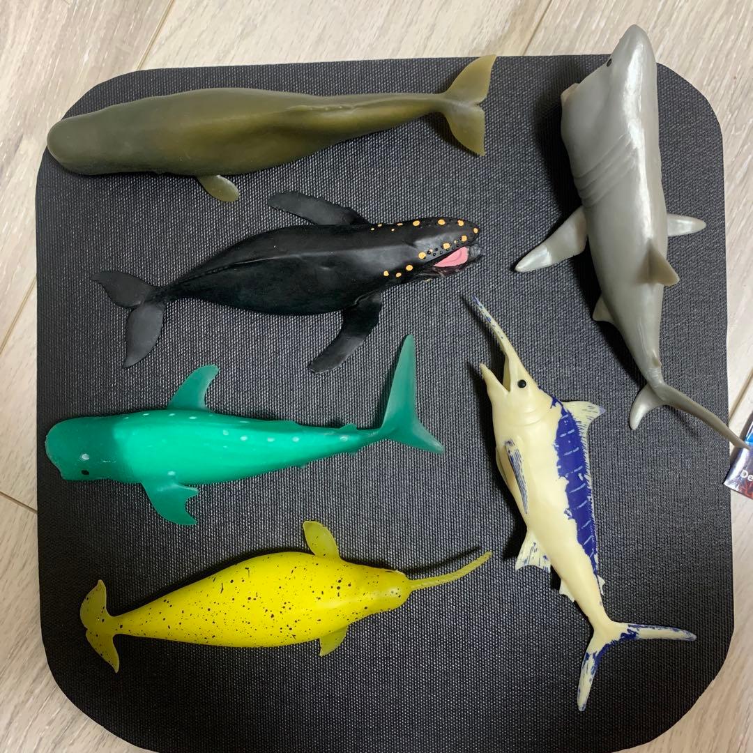 くじら　&co 16点　ブックレット デアゴスティーニ　アンドコ　コンプリート