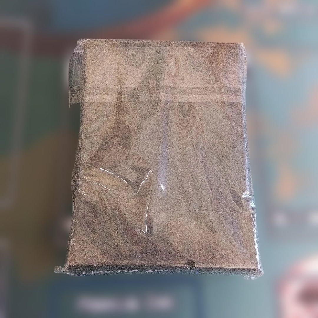 遊戯王 プロテクター レッド・デーモンズ・ドラゴン ＋ サイバースリンク 他