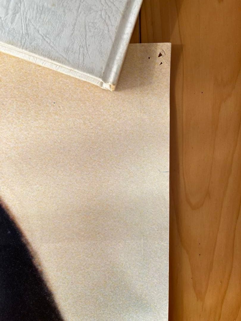 【激レア】長渕剛　昭和レトロポスター