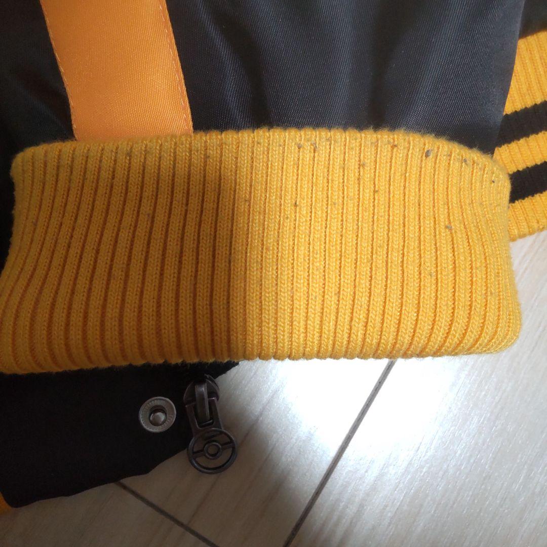 リザードン スタジャン ポケモン