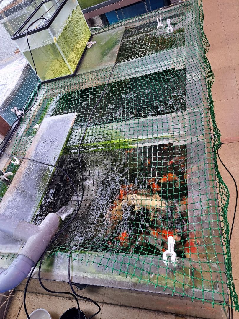 引取限定　大型中古アクリル水槽