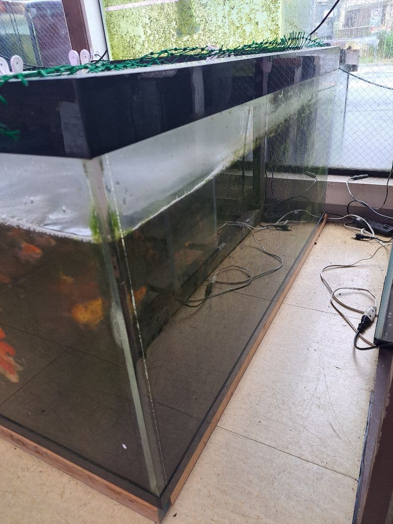 引取限定　大型中古アクリル水槽
