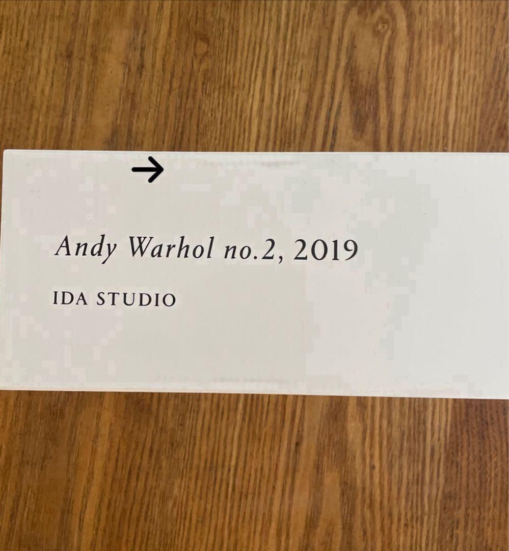 井田幸昌 Andy Warhol no.2,2019 Yukimasa Ida