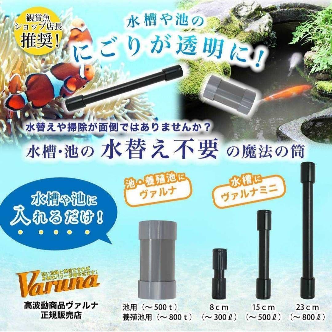 らんちゅうの飼育者絶賛！水槽の水を綺麗に保つ【ヴァルナ】有害物質、病原菌強力抑制