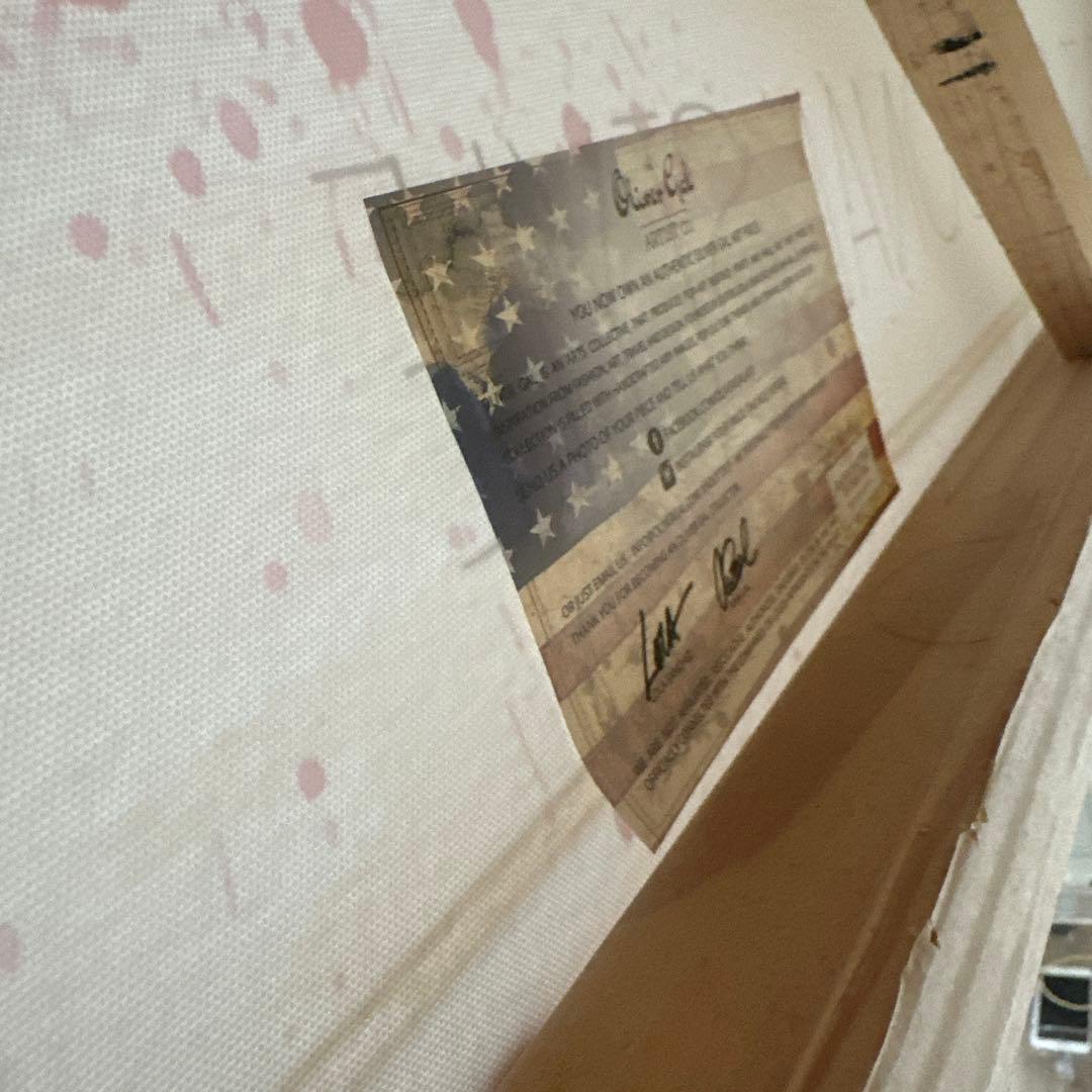 オリバーガル　最大サイズ　キャンバス絵　コレクション