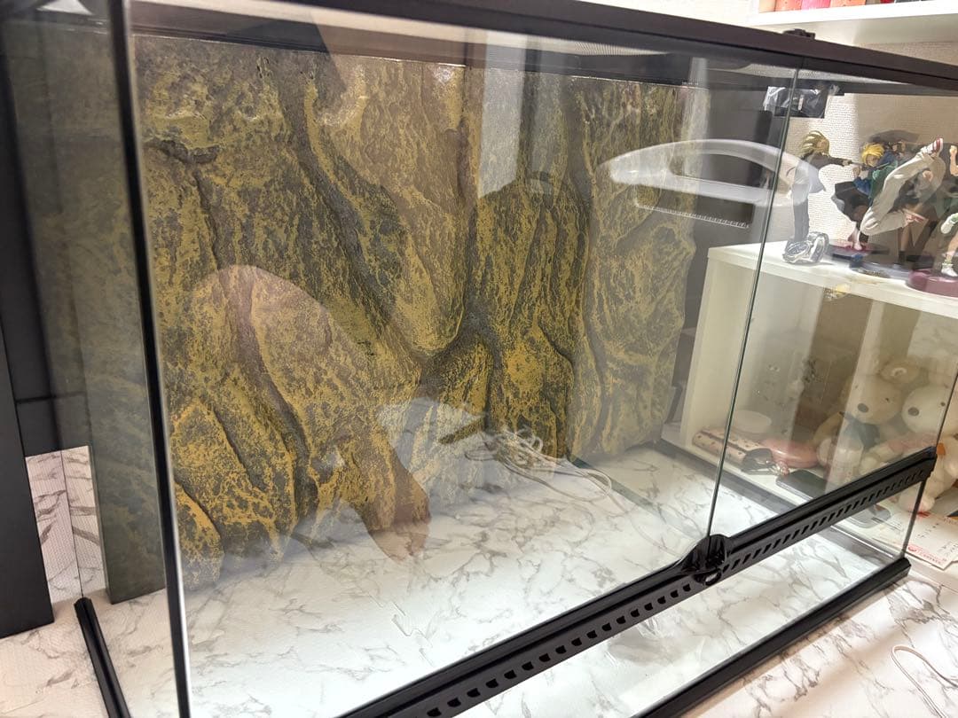 引き取りのみグラステラリウム9060